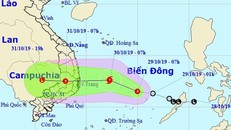 Bộ trưởng NN&PTNT Nguyễn Xuân Cường yêu cầu các địa phương triển khai khẩn trương giải pháp ứng với bão dự kiến đổ bộ vào Nam Trung bộ