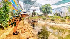 Du lịch cùng thế hệ Alpha: Bài toán thách thức của các bậc phụ huynh