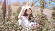 Thánh địa hoa hồng Sa Pa đón nhận kỷ lục thung lũng hoa hồng lớn nhất Việt Nam 