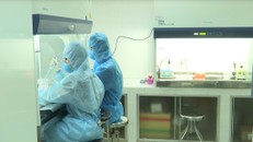 761 mẫu xét nghiệm, chủ yếu liên quan ca số 416 tại Đà Nẵng, có kết quả âm tính với SARS-CoV-2 - Ảnh: Phapluatplus
