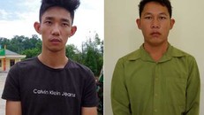 Khởi tố vụ đưa người Trung Quốc trái phép vào TP.HCM