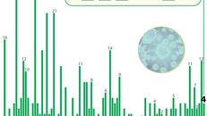 Đã có 425 bệnh nhân mắc COVID-19 được công bố khỏi bệnh