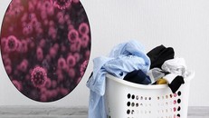 Giặt đồ, khử trùng quần áo thế nào để ngăn ngừa COVID-19?