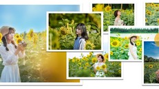 Đồi hoa mặt trời Ecopark khoe sắc đón thu sang