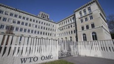 WTO sẽ có nữ Tổng Giám đốc đầu tiên