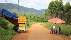 Phát hiện thêm 8 ca dương tính với bạch hầu