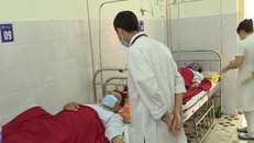 Tăng cường công tác chẩn đoán, điều trị bệnh Whitmore