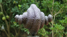 Tác phẩm "Khói bụi"