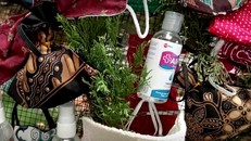 Trang trí cây thông Noel bằng khẩu trang và nước sát khuẩn