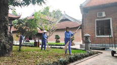 Bảo tàng, di tích đóng cửa để phòng, chống dịch: Nắm bắt cơ hội từ khó khăn