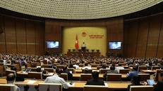 Đảng đoàn Quốc hội giới thiệu 86 người ứng cử ĐBQH chuyên trách