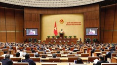 Quang cảnh phiên họp sáng 26/3. Ảnh: Dương Giang/TTXVN