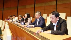 Đại biểu Quốc hội biểu quyết. (Ảnh: Phương Hoa/TTXVN)