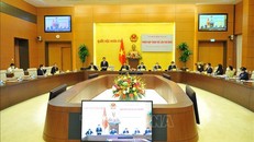 Ủy ban Đối ngoại của Quốc hội họp phiên toàn thể lần thứ nhất. Ảnh: Minh Đức/TTXVN