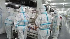 Hơn 6.400 ca COVID-19 nặng đang điều trị tại các cơ sỏ y tế trên toàn quốc