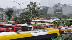 Nhà xe đường bộ ‘nhấp nhổm' chờ các địa phương mở cửa vận tải