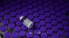 Vaccine ngừa COVID-19 của hãng dược phẩm Pfizer/BioNTech. Ảnh minh họa: AFP/TTXVN