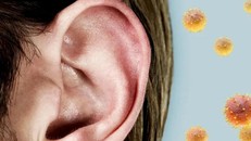 Các nhà khoa học hiện đã hiểu tại sao một số bệnh nhân COVID-19 báo cáo các vấn đề về cân bằng và thính giác.