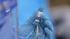 Pháp tiếp tục hỗ trợ 1,4 triệu liều vaccine ngừa COVID-19 cho Việt Nam