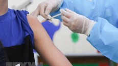 Ảnh minh họa. (Nguồn: TTXVN)