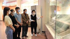 Cán bộ Bảo tàng tỉnh Bắc Ninh giới thiệu Mộc bản Hải Thượng y tông tâm lĩnh. Ảnh: Thanh Thương/ TTXVN