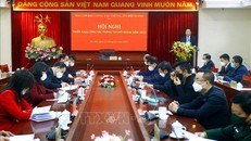 Đổi mới, sáng tạo trong nội dung và phương thức thông tin đối ngoại