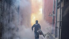 Một nhân viên y tế Sri Lanka dùng thuốc diệt muỗi trong chiến dịch kiểm soát sốt xuất huyết tại thủ đô Colombo. Ảnh: EPA