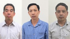 Thứ trưởng Bộ Ngoại giao Tô Anh Dũng bị bắt.