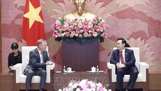 Chủ tịch Quốc hội Vương Đình Huệ tiếp Đại sứ Vương quốc Anh tại Việt Nam Gareth Ward. Ảnh: Doãn Tấn/TTXVN