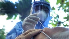 Ảnh minh họa. (Ảnh: Tuấn Đức/TTXVN)