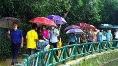 (Ảnh minh họa: Tá Chuyên /TTXVN)