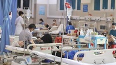 (Ảnh minh họa: Minh Quyết/ TTXVN)