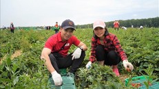 Anh Nguyễn Hoàng Linh, Phó chủ tịch BCH Công đoàn Đại sứ quán Việt Nam tại LB Nga trên cánh đồng.