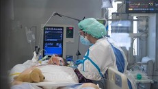 WHO cảnh báo dịch bệnh COVID-19 vẫn là mối đe dọa tiềm tàng