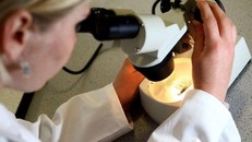 Ảnh minh họa: Guardian