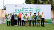 SeABank trao tặng gần 154.000 cây xanh ủng hộ trồng rừng và phát triển kinh tế tại Hà Tĩnh