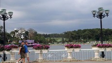 Ven hồ Xuân Hương được trang trí rực rỡ sắc hoa. Ảnh minh họa: Chu Quốc Hùng/TTXVN