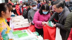 Hội Chữ thập đỏ thành phố tổ chức Chợ nhân đạo "Xuân yêu thương - Tết nghĩa tình” tại Trung tâm Văn hóa thông tin quận Thanh Xuân (Hà Nội). Ảnh (tư liệu) minh họa: Thanh Tùng/TTXVN