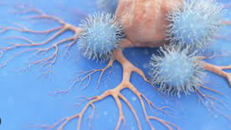 Vaccine ung thư não tác dụng kép khiến khối u bị tiêu diệt bởi chính tế bào ung thư. Ảnh minh họa: I.E