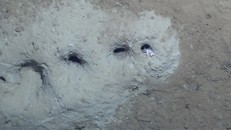 Các nhà khoa học đã tìm ra lời giải cho những chiếc hố bí ẩn. Ảnh: Guardian