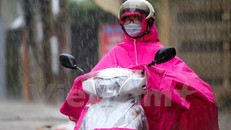 Ảnh minh họa. (Ảnh: Minh Sơn/Vietnam+)