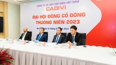 ĐHĐCĐ thường niên 2023 của Công ty cổ phần Dây cáp điện Việt Nam (CADIVI) được tổ chức bằng hình thức trực tuyến.