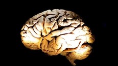 Hy vọng mới về phương pháp điều trị cho các bệnh nhân Alzheimer