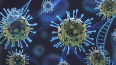 Biến thể mới có quá nhiều đột biến khiến giới khoa học bắt đầu lo ngại.