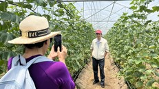 Du khách TP Hồ Chí Minh chọn điểm đến tại tỉnh Đồng Nai để tham quan, du lịch.