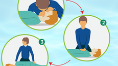 Các bước hồi sức tim-phổi cho người đuối nước. Ảnh: BV