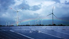 Dự án điện gió và điện mặt trời tại xã Lợi Hải và Bắc Phong (Thuận Bắc). Ảnh: Minh Hưng/TTXVN