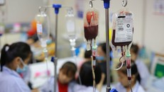 Bệnh Thalassemia có thể tầm soát bằng xét nghiệm máu. Ảnh: BV