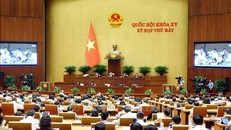 Quang cảnh phiên họp sáng 29/5. Ảnh: Phạm Kiên/TTXVN