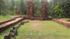 Con đường cổ mới được phát hiện nằm trên đường dẫn từ tháp K vào trung tâm di tích Mỹ Sơn.